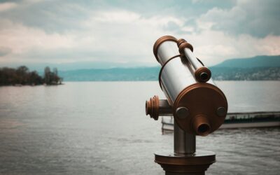What to look for in a legal translator